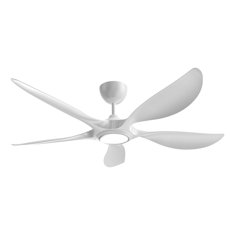 56 inch Ceiling Fan CD56